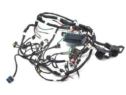 Main Engine Wiring Harness 2017 Polaris ACE 150 EFI 3278