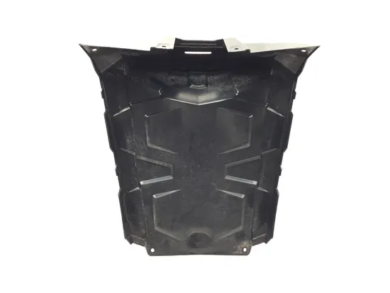 Hood 2017 Polaris ACE 150 EFI 3279