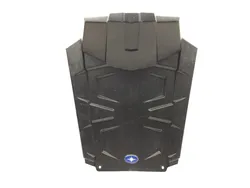 Hood 2017 Polaris ACE 150 EFI 3279