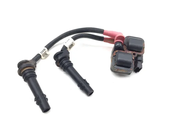 Ignition Coil 2016 Polaris RZR XP 1000 EPS 3284