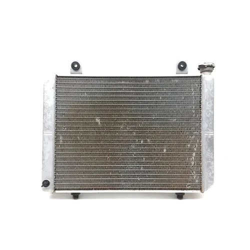 Engine Radiator Cooling 2006 Polaris Ranger 500 4X4 3286 8