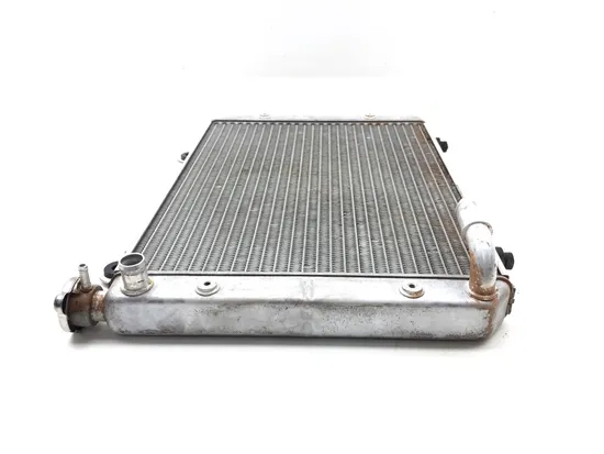 Engine Radiator Cooling 2006 Polaris Ranger 500 4X4 3286