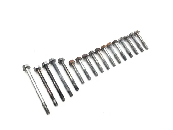 Engine Center Cases Case Bolts 2011 Honda Rancher 420 TRX420FM 4x4 3289