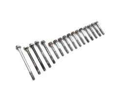 Engine Center Cases Case Bolts 2011 Honda Rancher 420 TRX420FM 4x4 3289