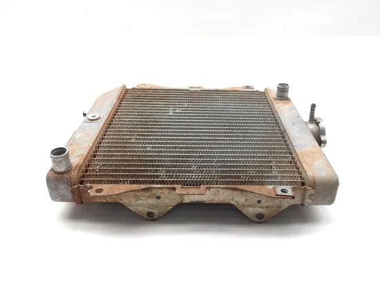 Engine Radiator Cooling 2011 Honda Rancher 420 TRX420FM 4x4 3289