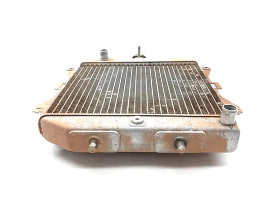 Engine Radiator Cooling 2011 Honda Rancher 420 TRX420FM 4x4 3289