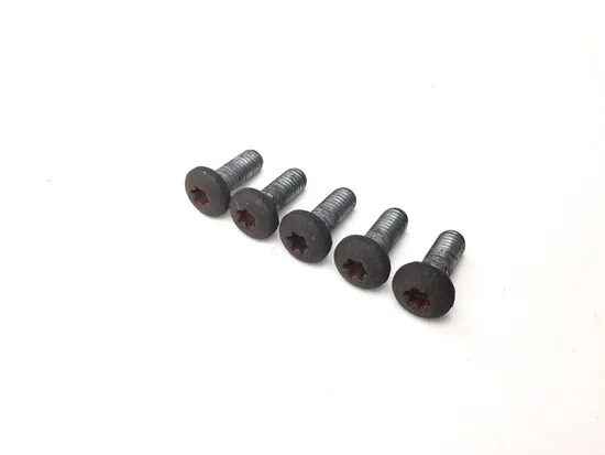 Rear Brake Rotor Disc Bolts 2005 Harley-Davidson Dyna Low Rider EFI FXDLI 3282