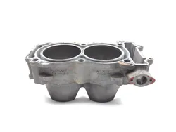 Engine Cylinder Jug 2020 Polaris RZR 900 EPS 3297 x