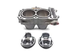 Engine Cylinder Jug W Piston 2020 Polaris RZR 900 EPS 3297
