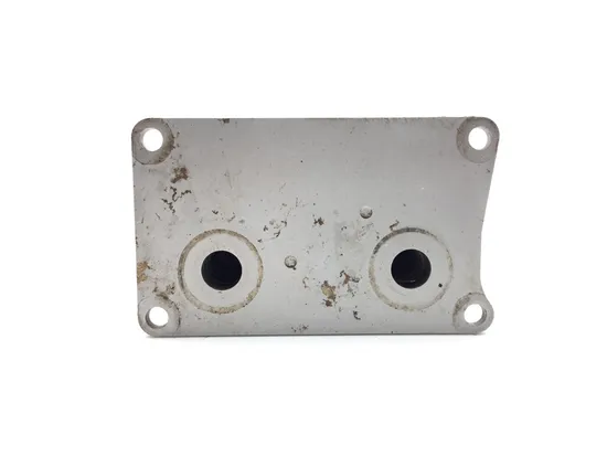 Engine Oil Cooler 2020 Polaris RZR 900 EPS 3297