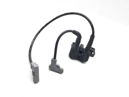 Ignition Coil Set 2009 Harley-Davidson Sportster 1200 Custom XL1200C 3293