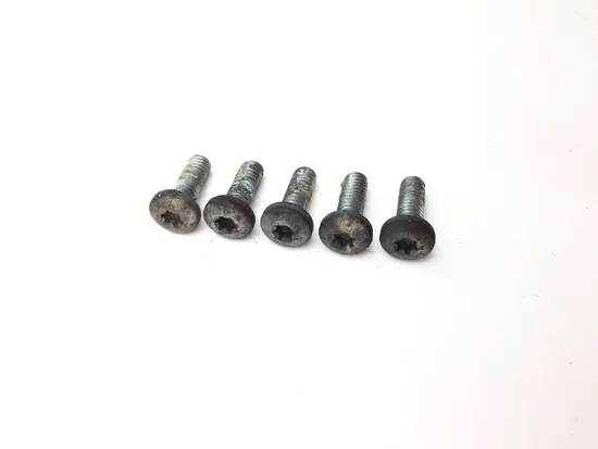 Front Brake Rotor Bolts 2009 Harley-Davidson Sportster 1200 Custom XL1200C 3293