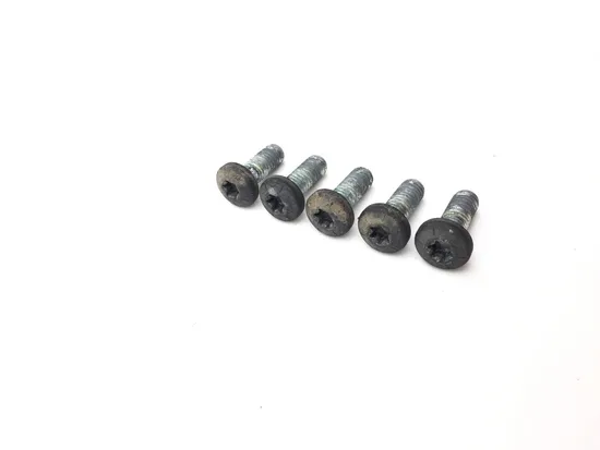 Rear Brake Rotor Disc Bolts 2009 Harley Sportster 1200 Custom XL1200C 3293