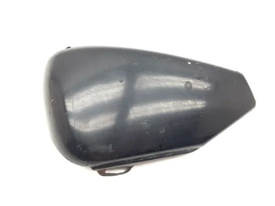 Left Side Cover 2009 Harley-Davidson Sportster 1200 Custom XL1200C 3293 x