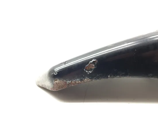 Left Side Cover 2009 Harley-Davidson Sportster 1200 Custom XL1200C 3293 x