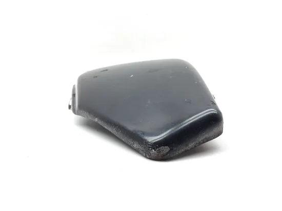Left Side Cover 2009 Harley-Davidson Sportster 1200 Custom XL1200C 3293 x