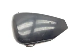 Left Side Cover 2009 Harley-Davidson Sportster 1200 Custom XL1200C 3293 x