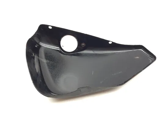 Right Side Cover 2009 Harley-Davidson Sportster 1200 Custom XL1200C 3293 x
