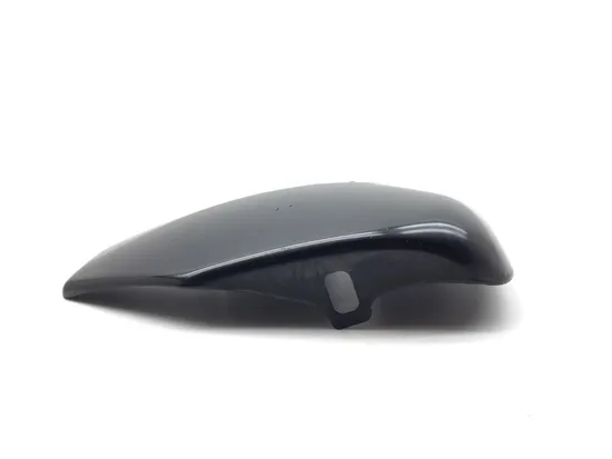 Right Side Cover 2009 Harley-Davidson Sportster 1200 Custom XL1200C 3293 x