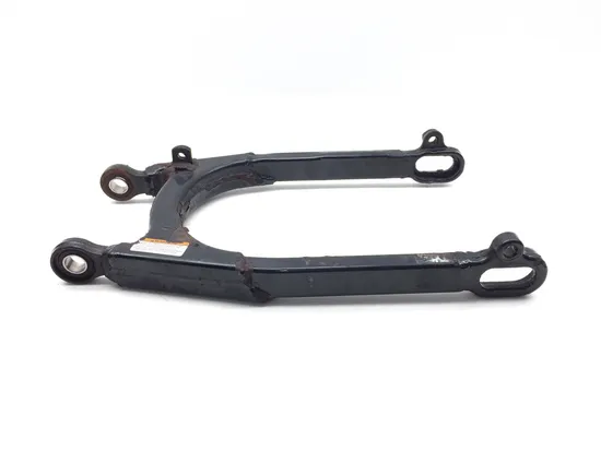 Swing Arm Swingarm 2009 Harley-Davidson Sportster 1200 Custom XL1200C 3293 x 1