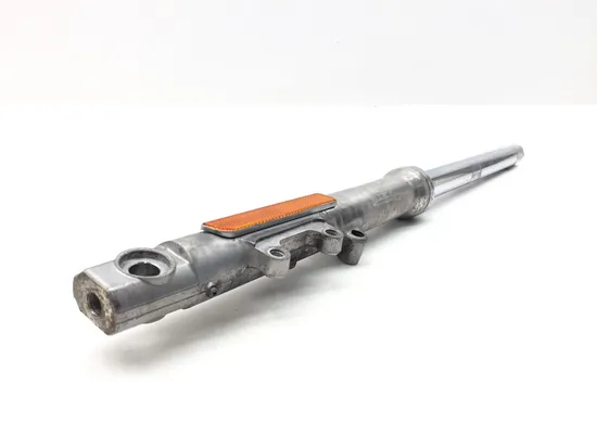 Front Forks Tubes Legs 2009 Harley-Davidson Sportster 1200 Custom XL1200C 3293