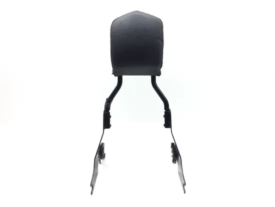 Sissy Bar 2009 Harley-Davidson Sportster 1200 Custom XL1200C 3293 x