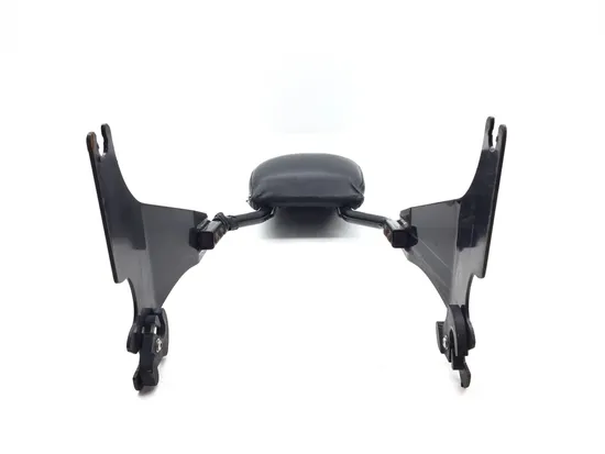 Sissy Bar 2009 Harley-Davidson Sportster 1200 Custom XL1200C 3293 x