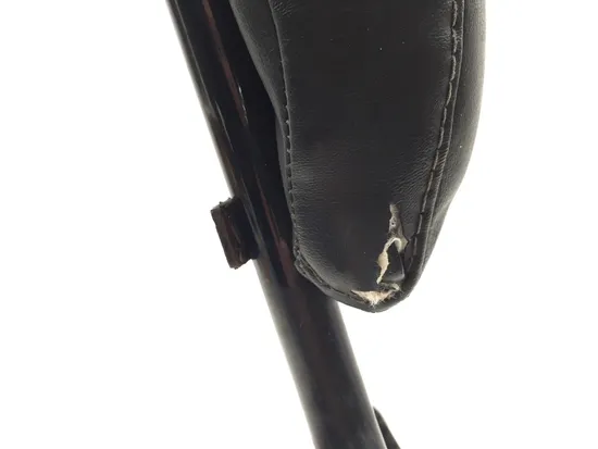 Sissy Bar 2009 Harley-Davidson Sportster 1200 Custom XL1200C 3293 x