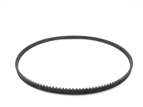 Drive Belt 2009 Harley-Davidson Sportster 1200 Custom XL1200C 3293