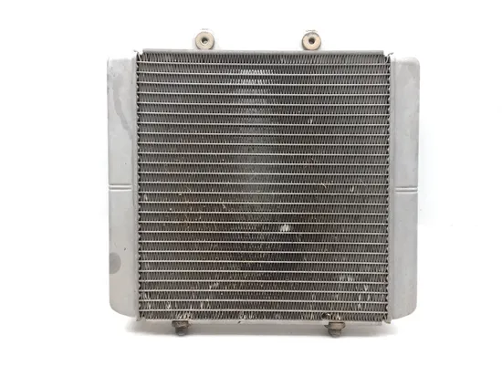 Engine Radiator Cooling 2007 Polaris Sportsman 450 4x4 3302