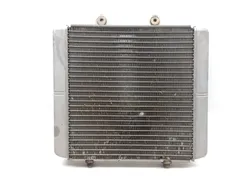 Engine Radiator Cooling 2007 Polaris Sportsman 450 4x4 3302