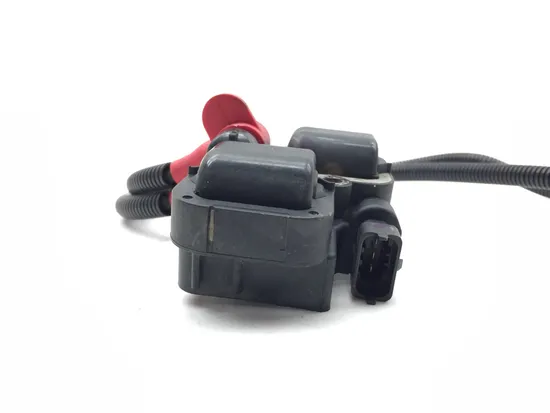 Ignition Coil 2013 Polaris RZR S 800 EFI 3299