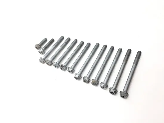 Engine Left Right Center Case Bolts 2017 Husqvarna FX350 3303