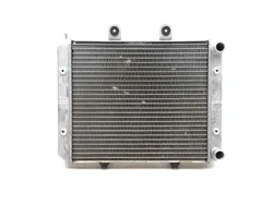 Engine Radiator Cooling 2013 Polaris RZR S 800 EFI 3299 x