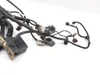 Main Engine Wiring Harness 2013 Polaris RZR S 800 EFI 3299