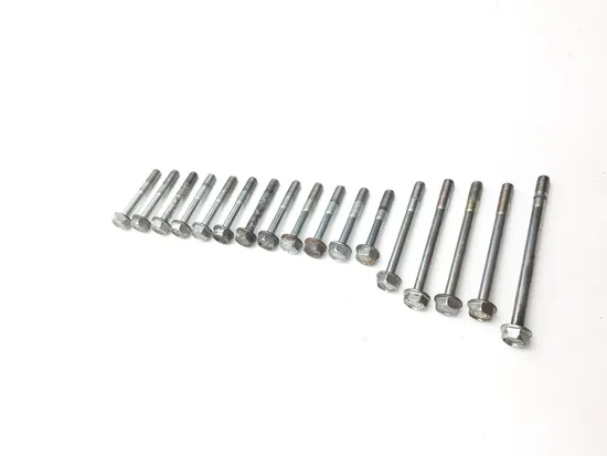 Engine Center Cases Case Bolts 2011 Honda Rancher 420 TRX420FE 4x4 ES 3306