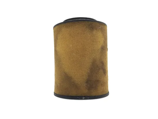 Air Filter 2011 Honda Rancher 420 TRX420FE 4x4 ES 3306