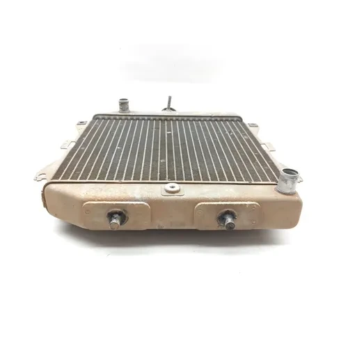 Engine Radiator Cooling 2011 Honda Rancher 420 TRX420FE 4x4 ES 3306 4
