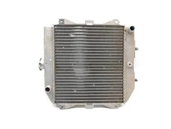Engine Radiator Cooling 2011 Honda Rancher 420 TRX420FE 4x4 ES 3306