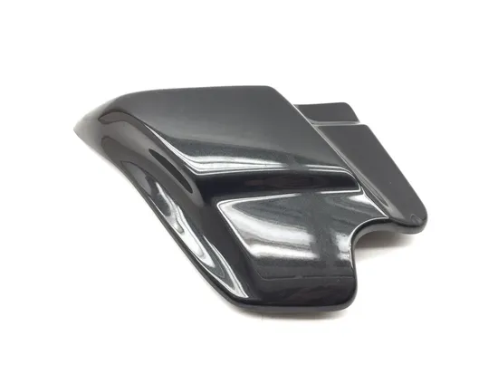 Left Side Cover 2004 Harley-Davidson Road King EFI FLHRI 3304 x