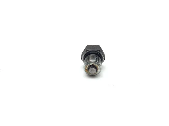 Engine Oil Drain Plug Bolt 2010 Harley Dyna Wide Glide FXDWG