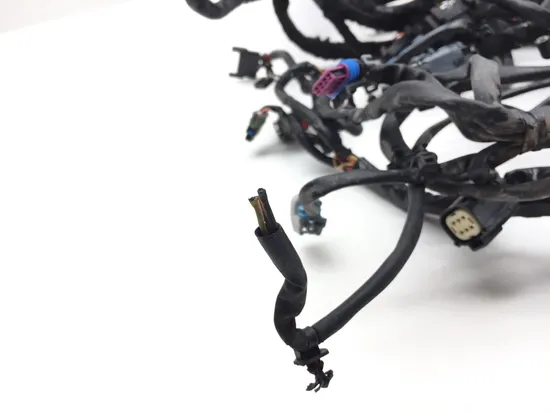 Main Engine Wiring Harness 2010 Harley Dyna Wide Glide FXDWG 3300x