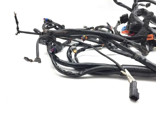Main Engine Wiring Harness 2010 Harley Dyna Wide Glide FXDWG 3300x