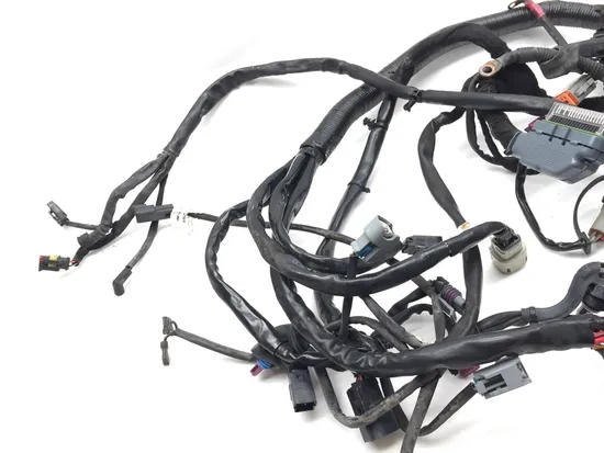 Main Engine Wiring Harness 2010 Harley Dyna Wide Glide FXDWG 3300x