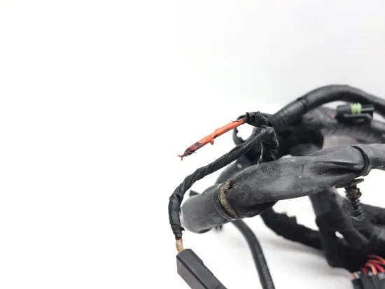 Main Engine Wiring Harness 2010 Harley Dyna Wide Glide FXDWG 3300x