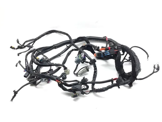 Main Engine Wiring Harness 2010 Harley Dyna Wide Glide FXDWG 3300x