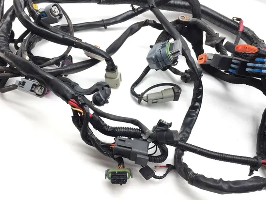 Main Engine Wiring Harness 2010 Harley Dyna Wide Glide FXDWG 3300x