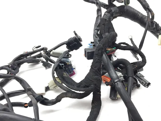 Main Engine Wiring Harness 2010 Harley Dyna Wide Glide FXDWG 3300x