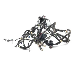 Main Engine Wiring Harness 2021 Polaris RZR XP 1000 EPS 3311