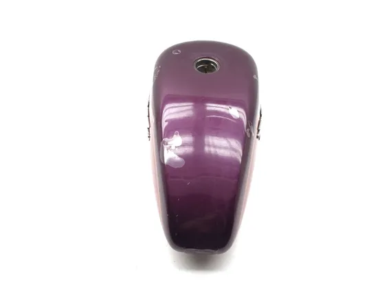 Gas Tank Fuel Petrol 1995 Harley-Davidson Sportster 883 XLH883 3308 x 8